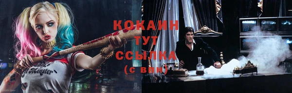 индика Гусиноозёрск