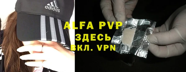 индика Гусиноозёрск