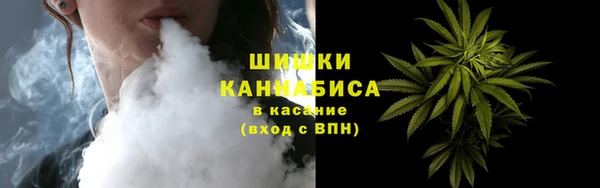 индика Гусиноозёрск