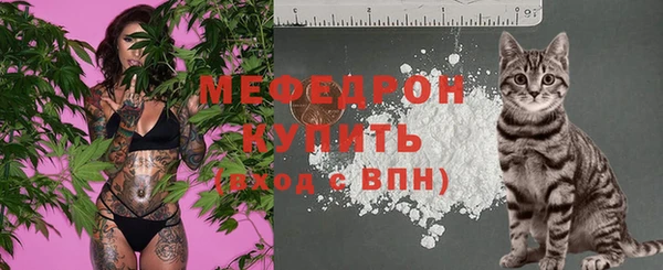 индика Гусиноозёрск