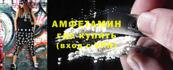 индика Гусиноозёрск