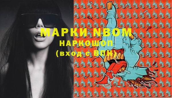 индика Гусиноозёрск