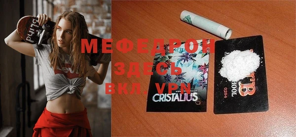индика Гусиноозёрск