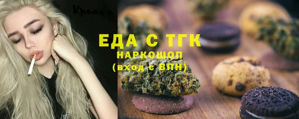 индика Гусиноозёрск
