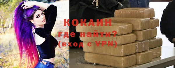 индика Гусиноозёрск