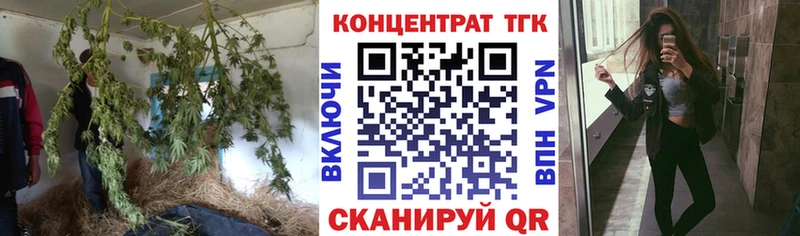 Купить  Урус-Мартан  ТГК Wax 